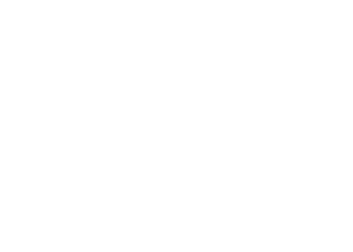 Logo Pride